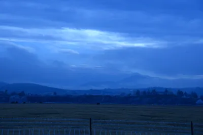 DSC_1119 (Large).JPG